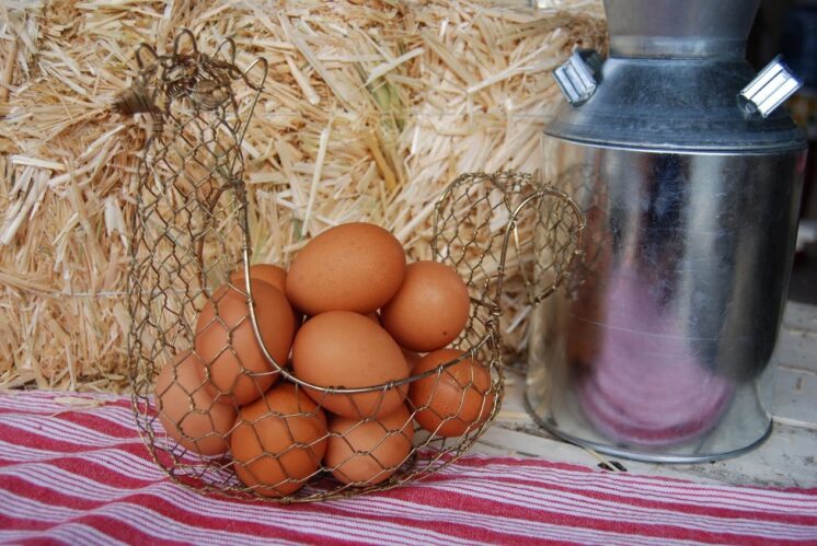 free range brown eggs