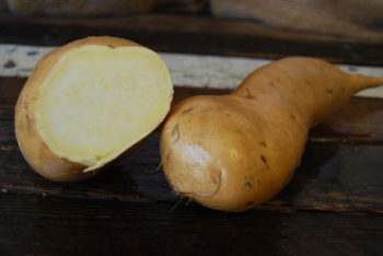 white sweet potato