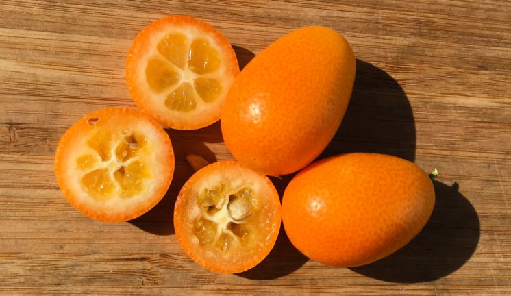 Kumquats from Rancho Del Sol