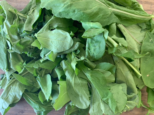A pile of Astro arugula. / Why and how to eat arugula