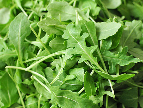 Astro arugula - why and how to eat arugula