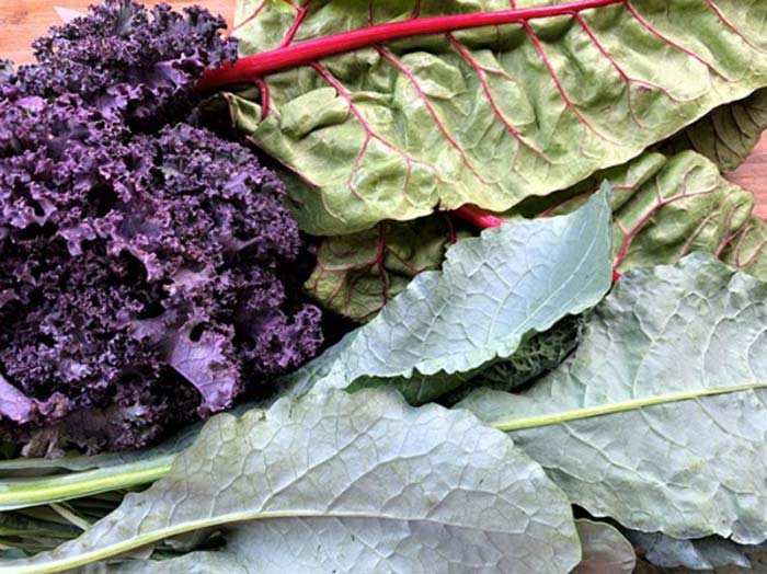 Gorgeous varieties of fall kale and chard arriving at Daily Harvest Express from our network of local, organic farmers. Whole, fiber-rich and nutrient-dense foods like these greens will help you feel full and nourished. 
