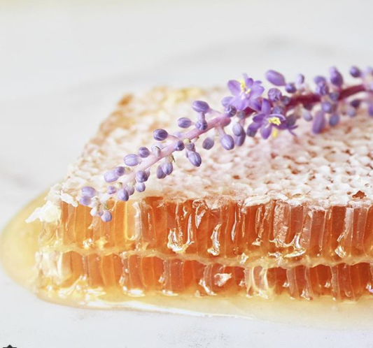 Mmm, fresh cut honeycomb. Local honey San Diego, CA