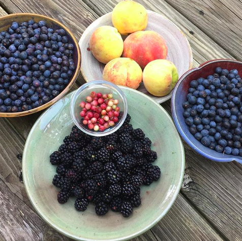 Garden fresh berries and peaches taste like July 4th, not December 25th. 