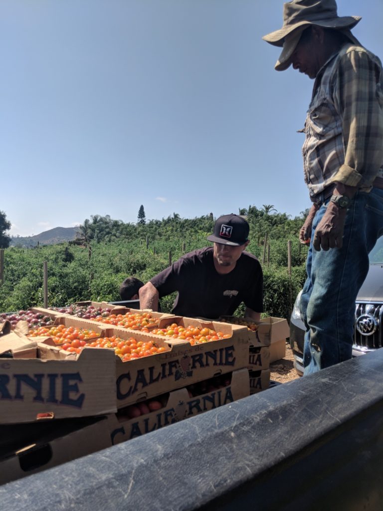 Rivas Farm workers loading up farm-fresh organic produce for market. 