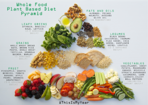 plant based diet food pyramid