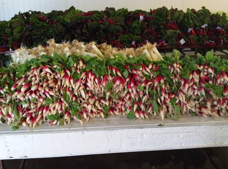 Organic radishes and other produce from Be Wise Ranch, ready for market. 