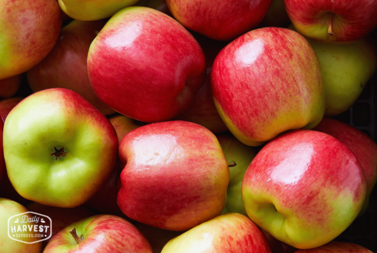 Organic Ambrosia Apples — Melissas Produce