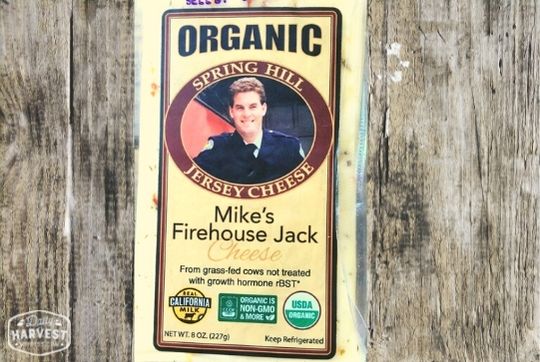 Firehouse Jack Cheese