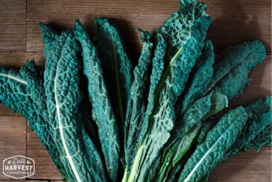 Blue Kale