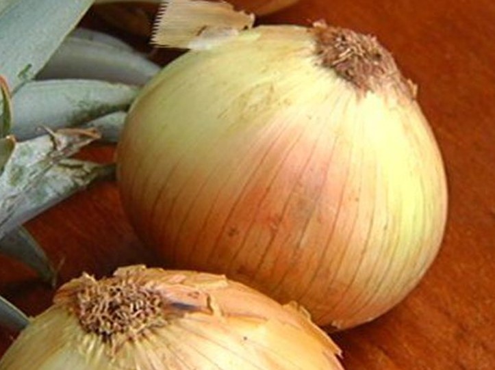 maui onions