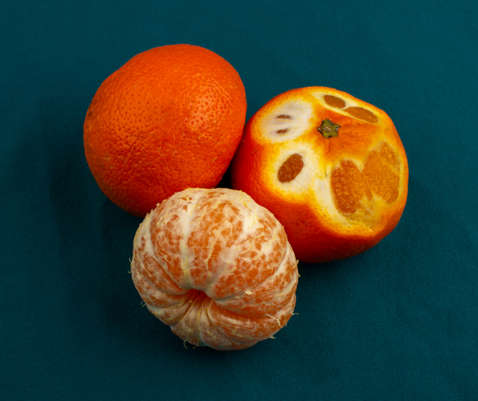 mandarin oranges with and without peels