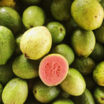 guava originated in central america